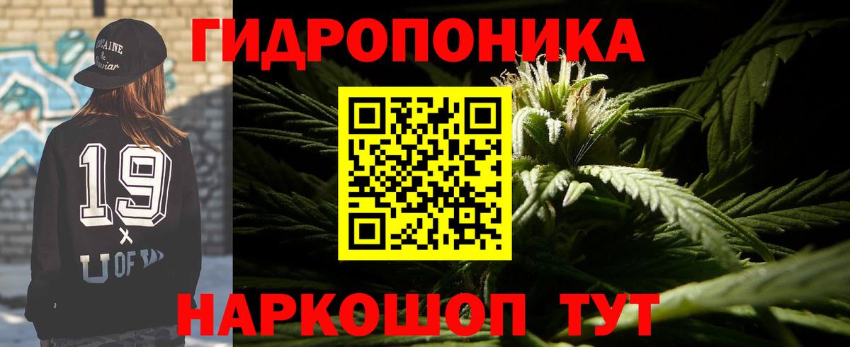 Бошки марихуана Bruce Banner Изобильный